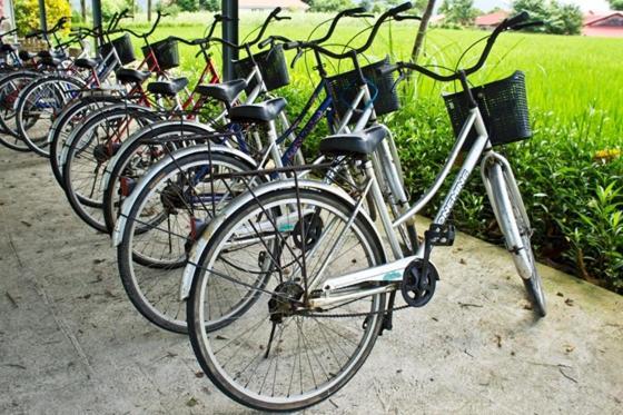 Mian-Nao Education Leisure Farm Leilighet Tianfu Eksteriør bilde